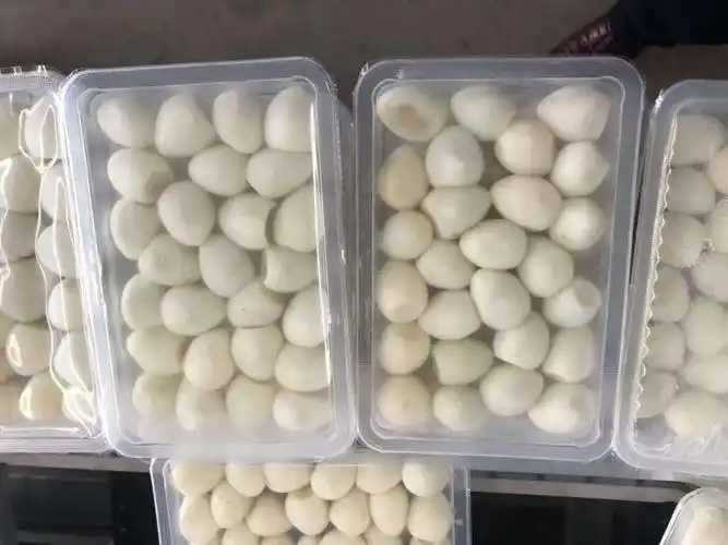 整線解決方案，優(yōu)化生產(chǎn)流程：鵪鶉蛋包裝神器來襲